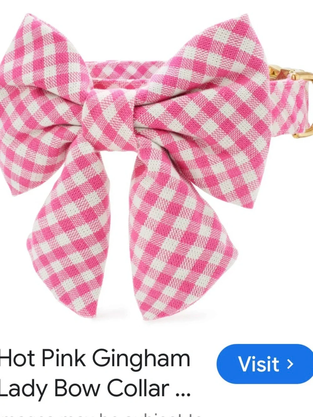 Hot Pink Gingham Lady Bow Dog Collar by foggy dog size large